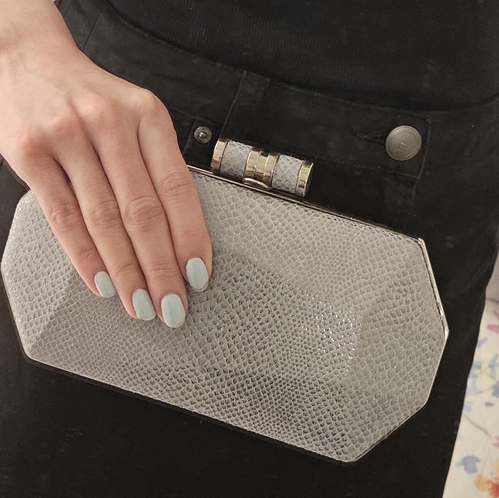 Elegant Gray Clutch